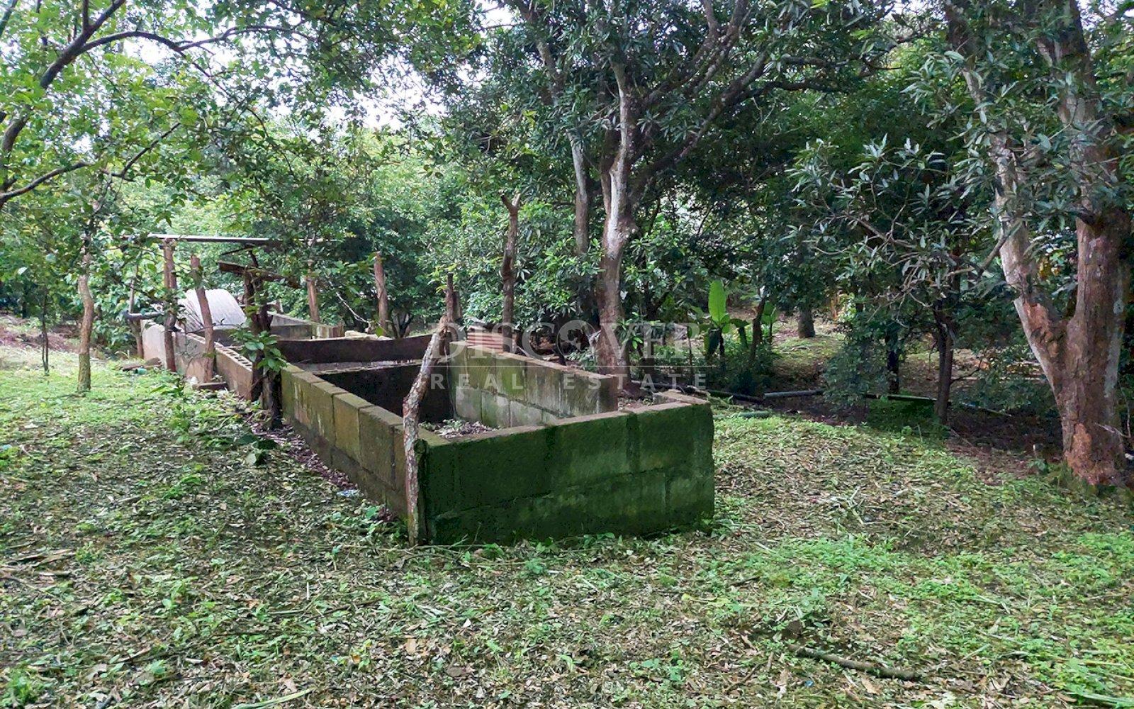  Land for sale in the Pacayita region