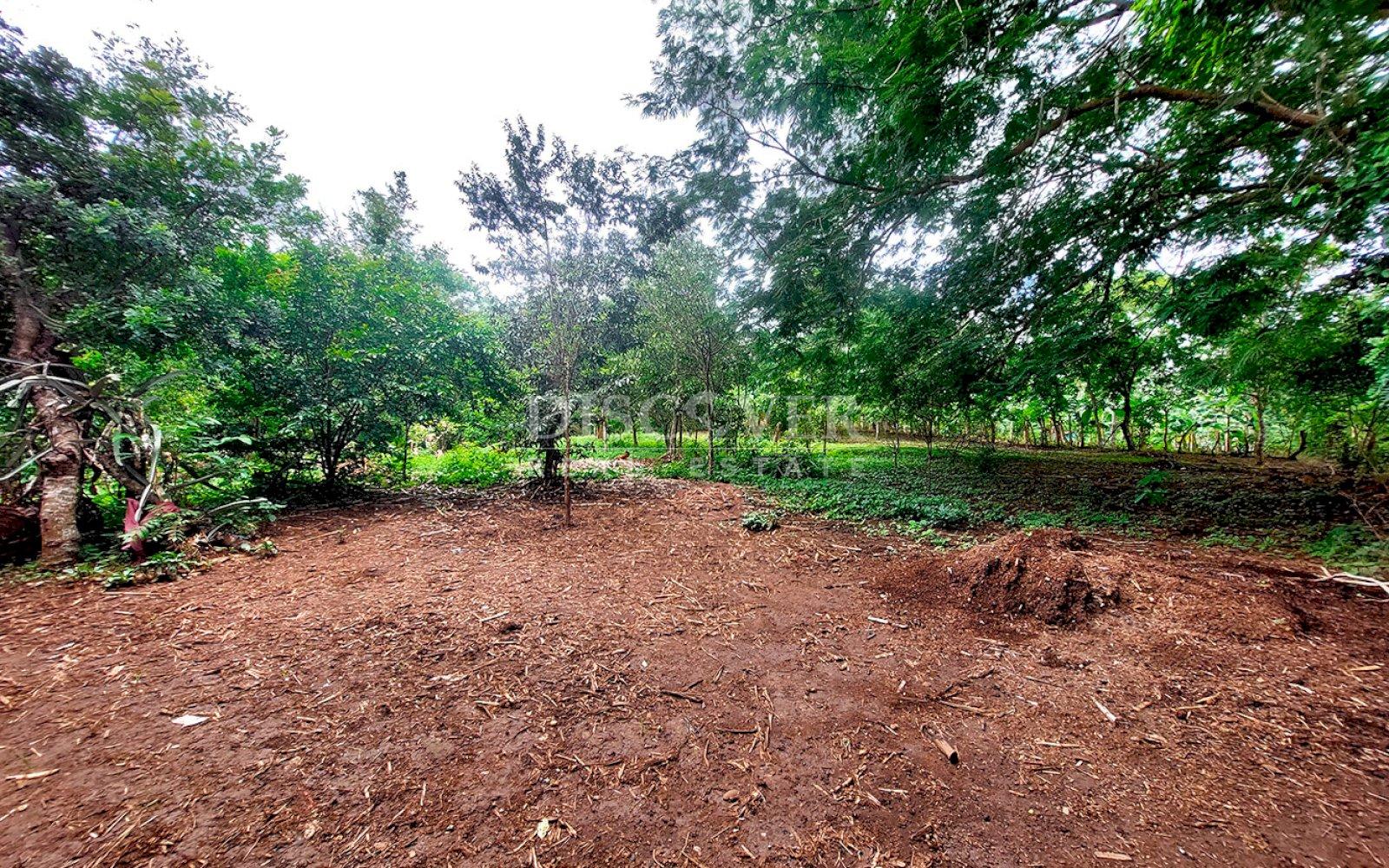  Land for sale in the Pacayita region