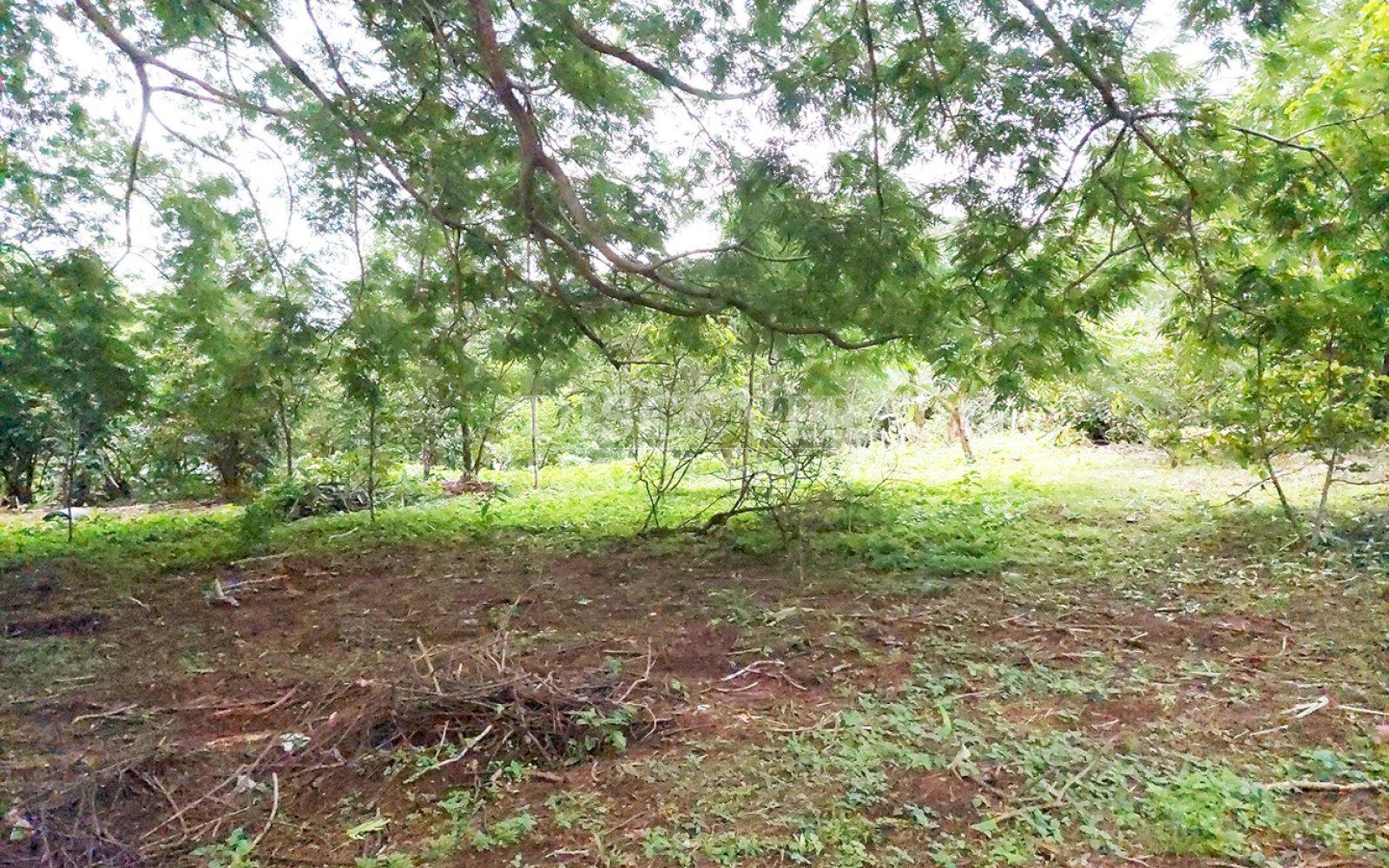  Land for sale in the Pacayita region