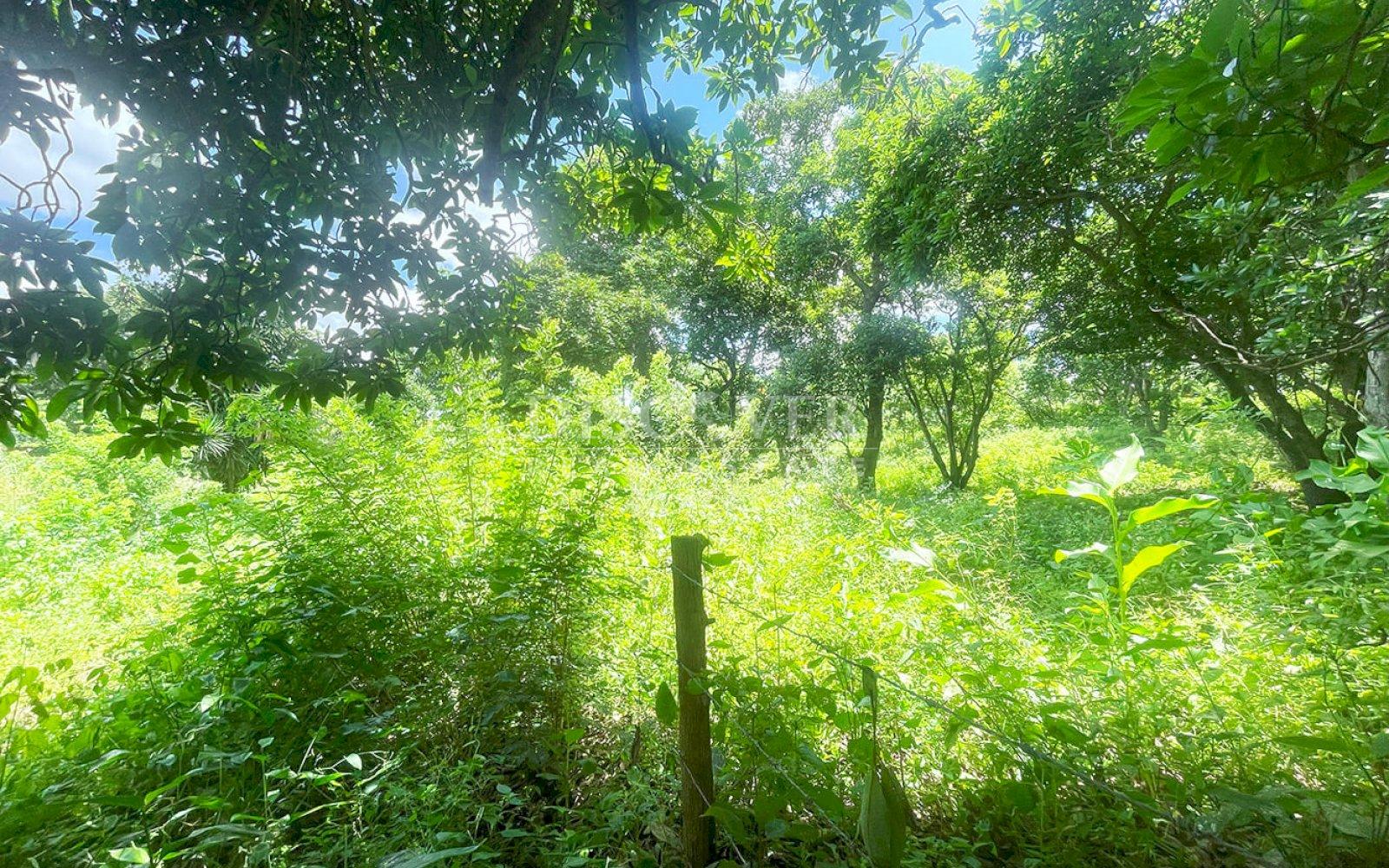  Land for sale in Intermezzo del Bosque