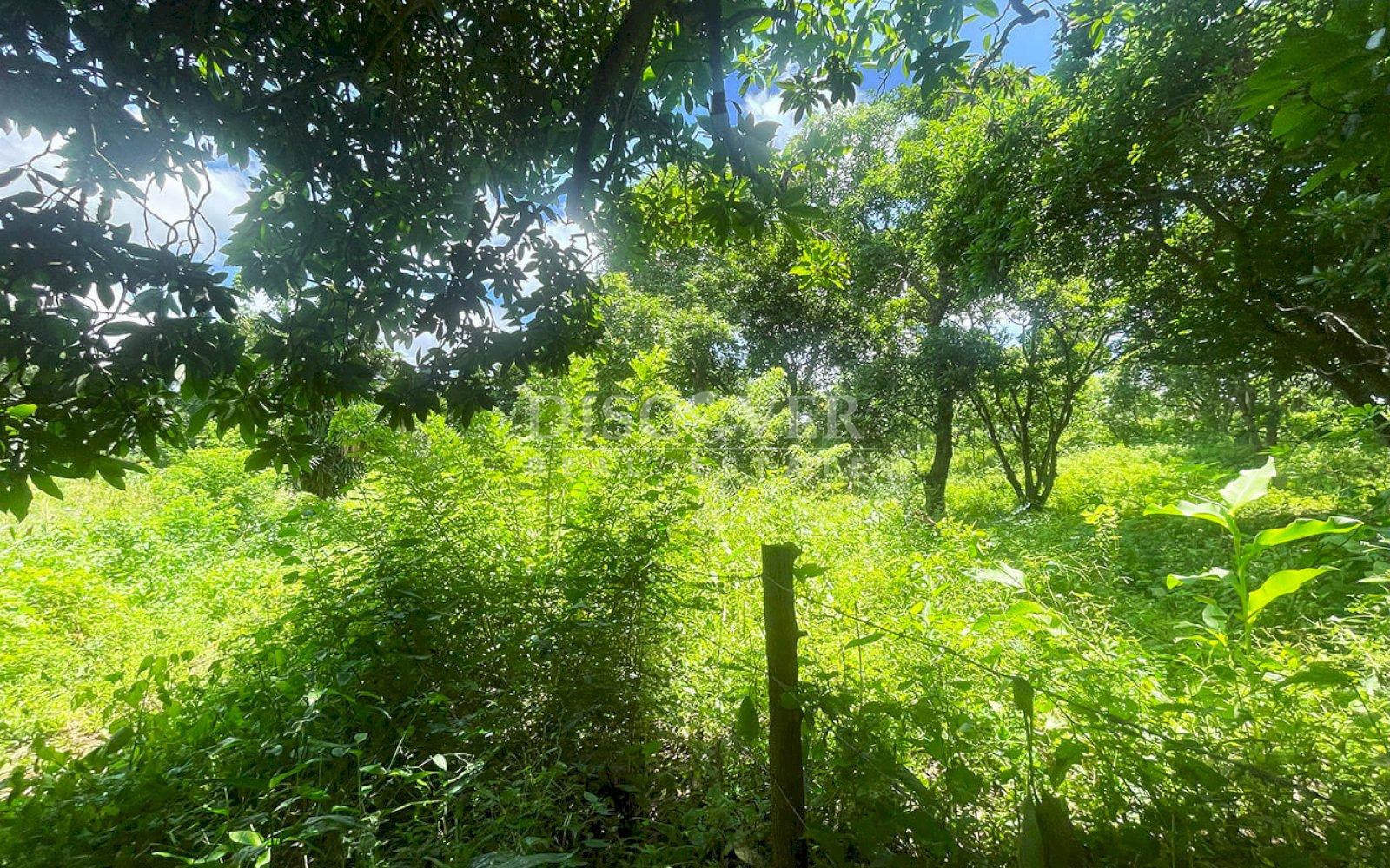  Land for sale in Intermezzo del Bosque
