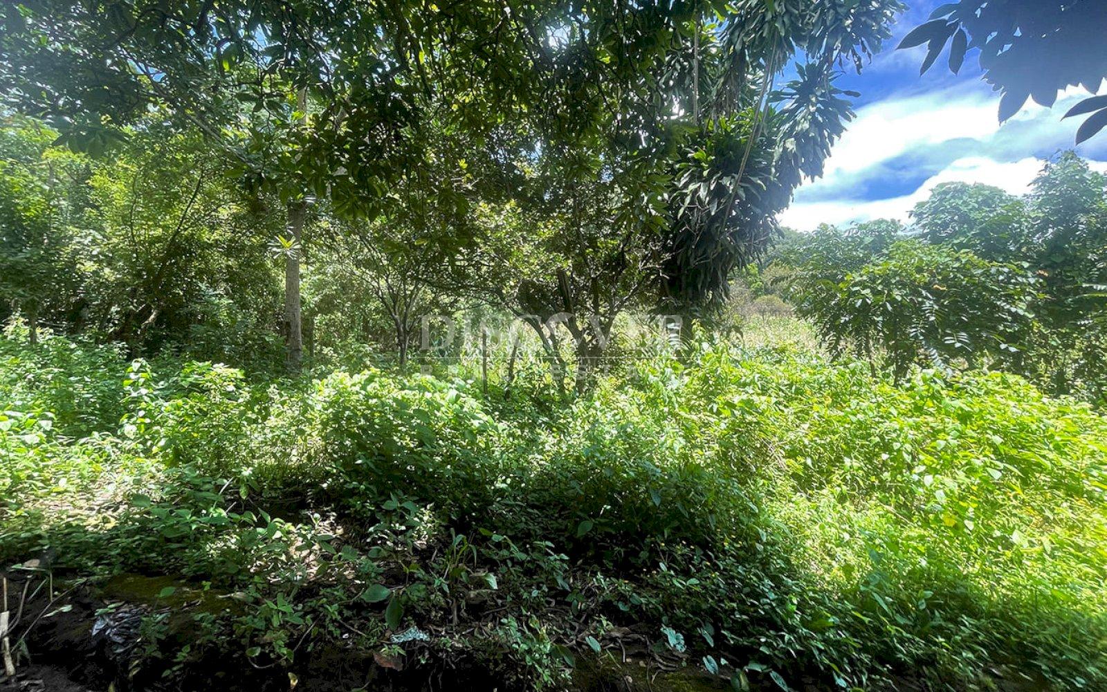  Land for sale in Intermezzo del Bosque