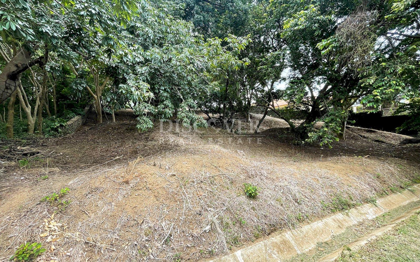 Imagen 3 de la galería
