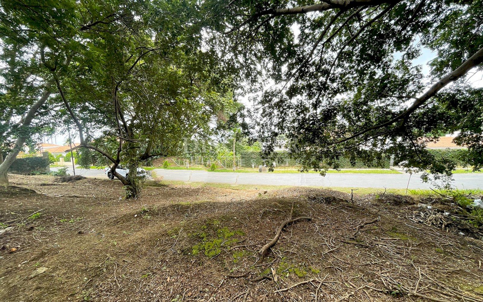 Imagen 4 de la galería