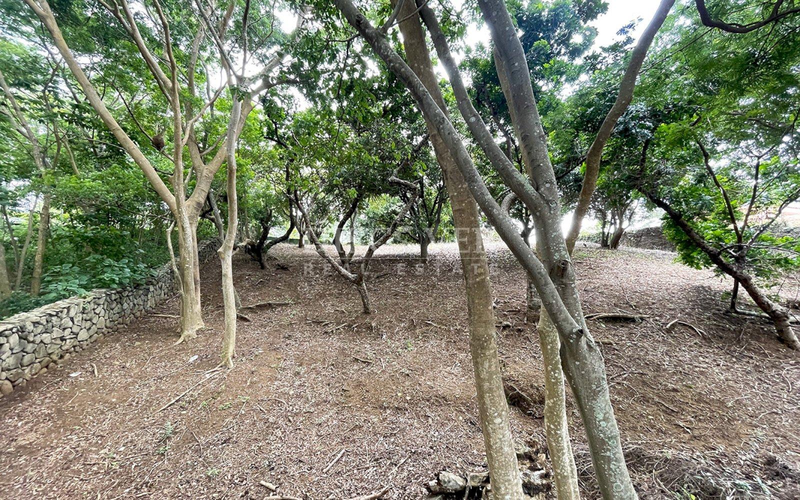 Imagen 1 de la galería