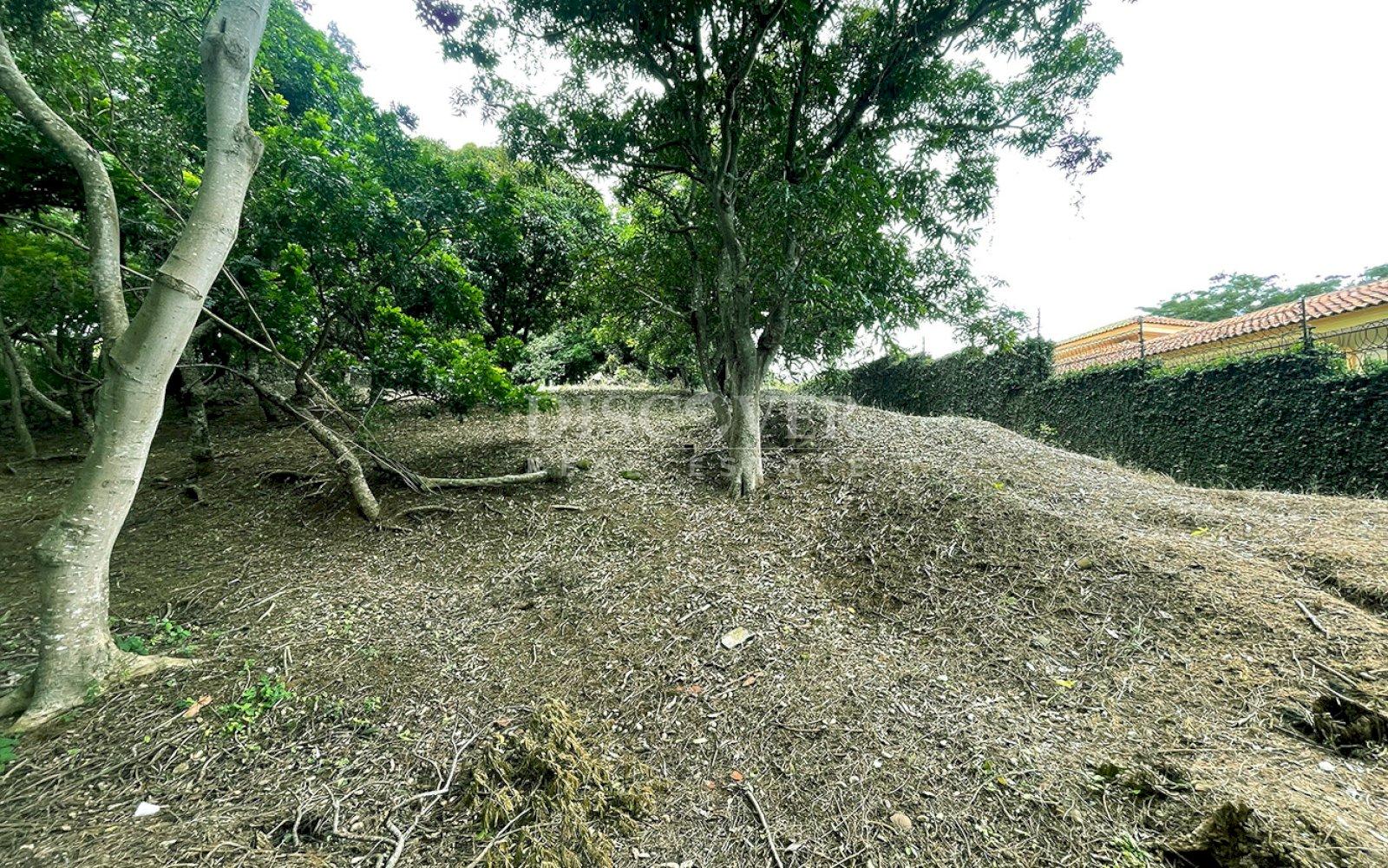 Imagen 2 de la galería