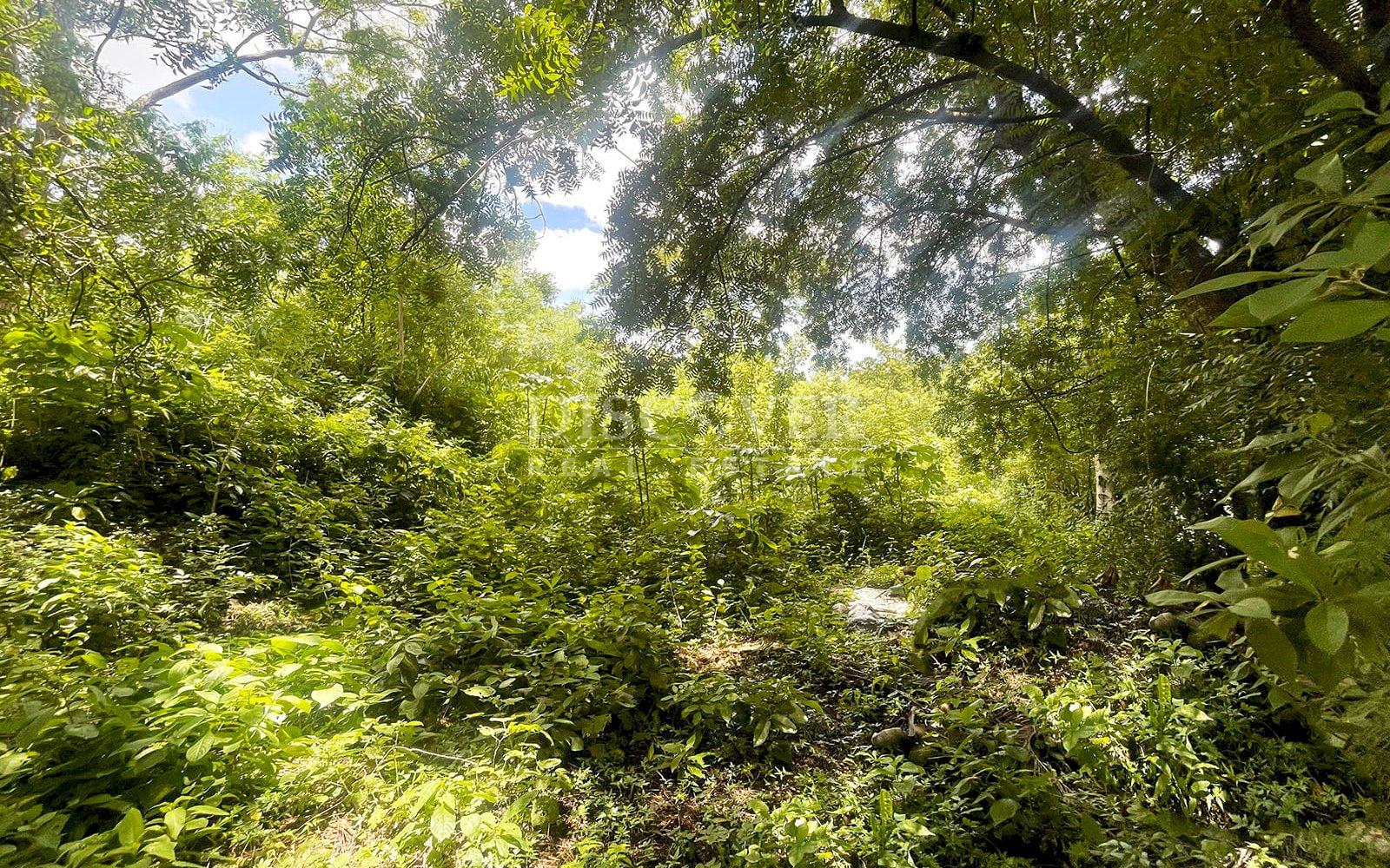  Managua Lake View Lot for Sale 