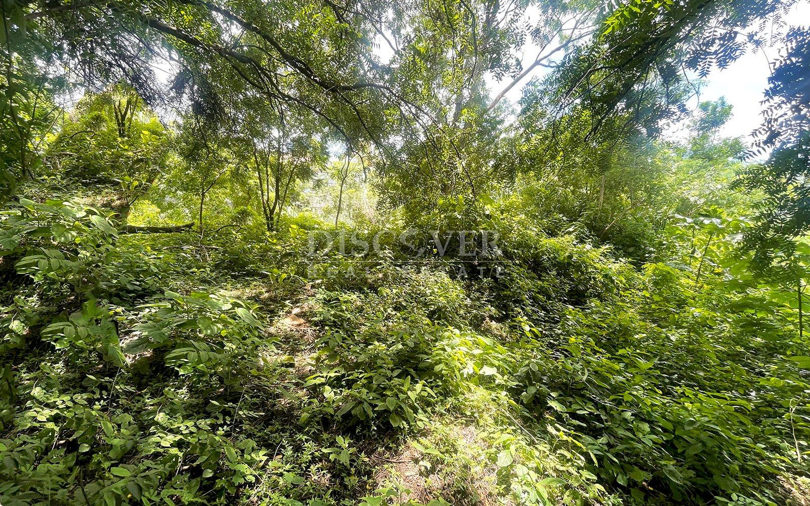  Managua Lake View Lot for Sale 