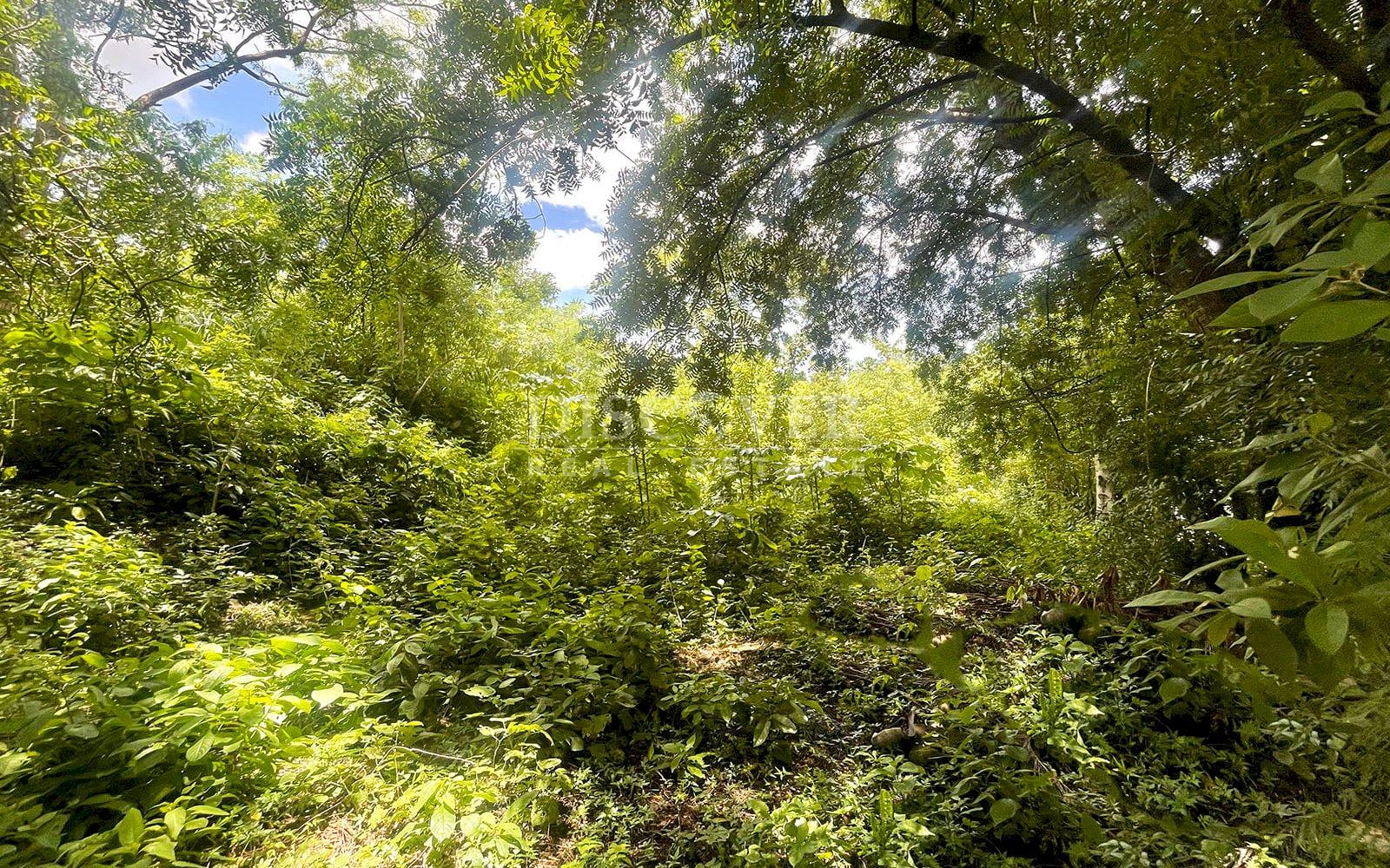  Managua Lake View Lot for Sale 