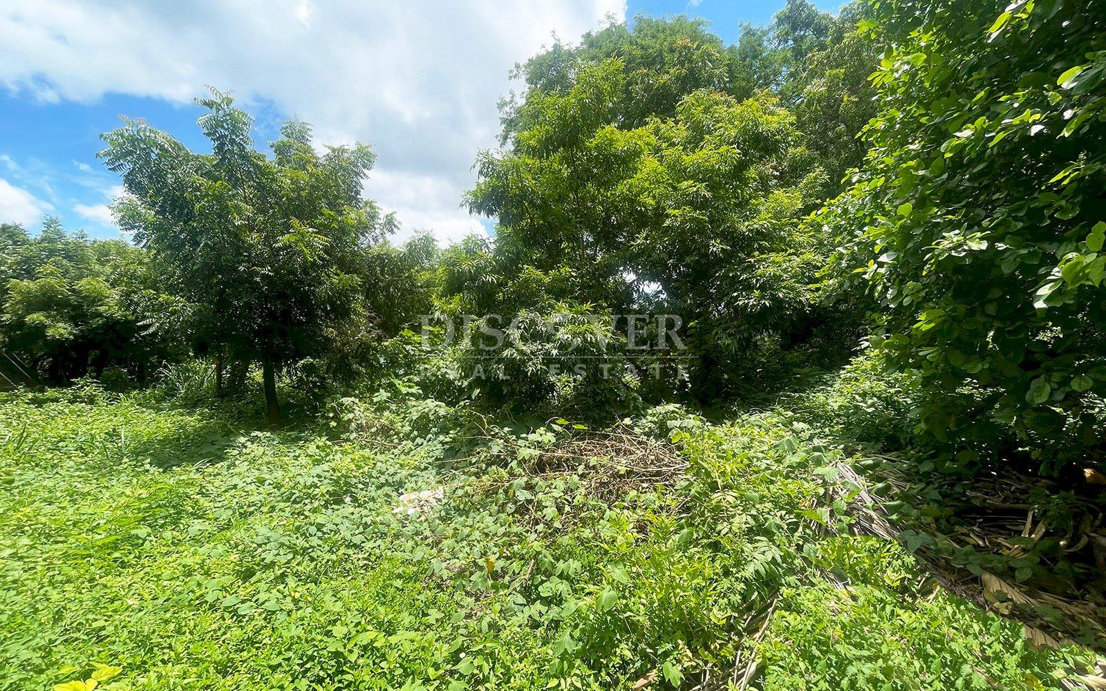  Managua Lake View Lot for Sale 