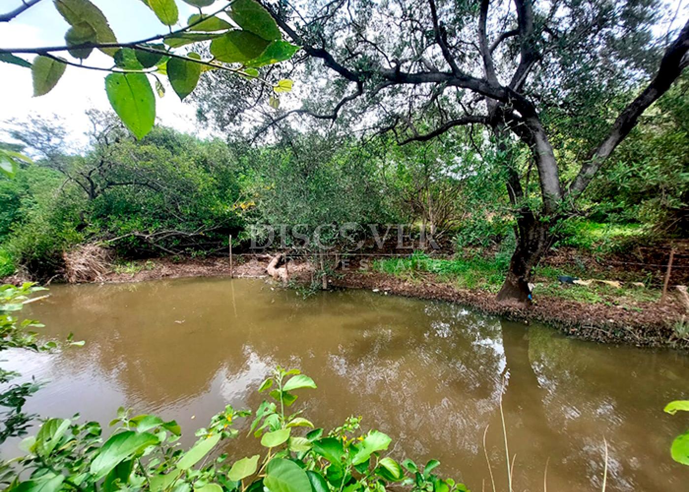 https://images.discovernica.com/propiedad/1600/ID13832_6_.png