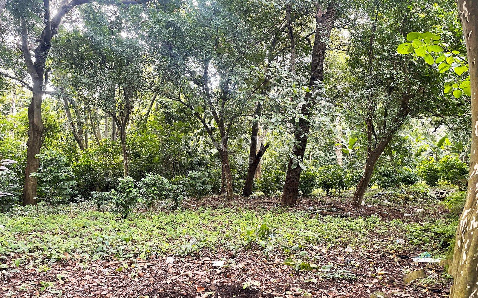https://images.discovernica.com/propiedad/1600/ID13839.jpg