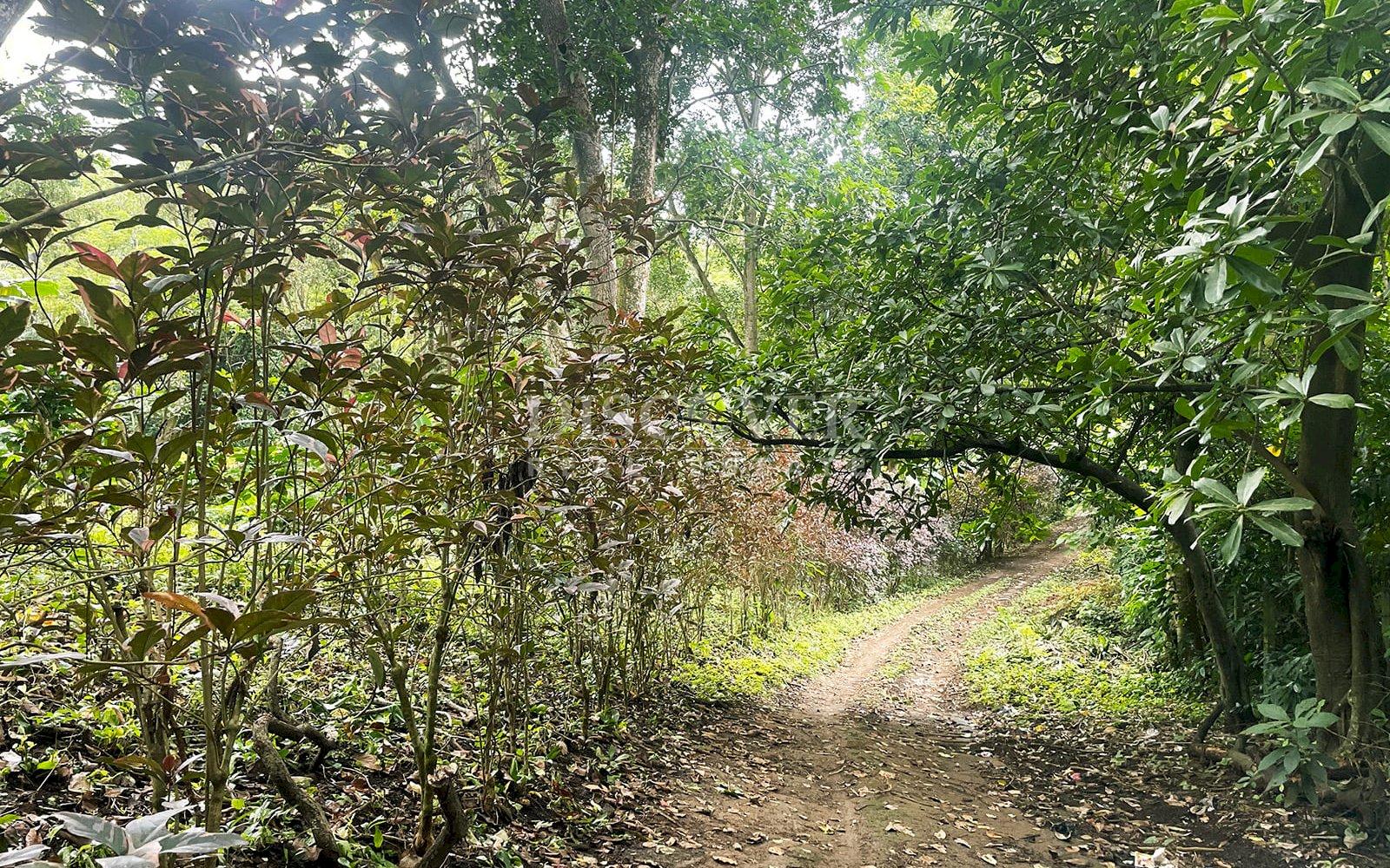 https://images.discovernica.com/propiedad/1600/ID13839_1.jpg