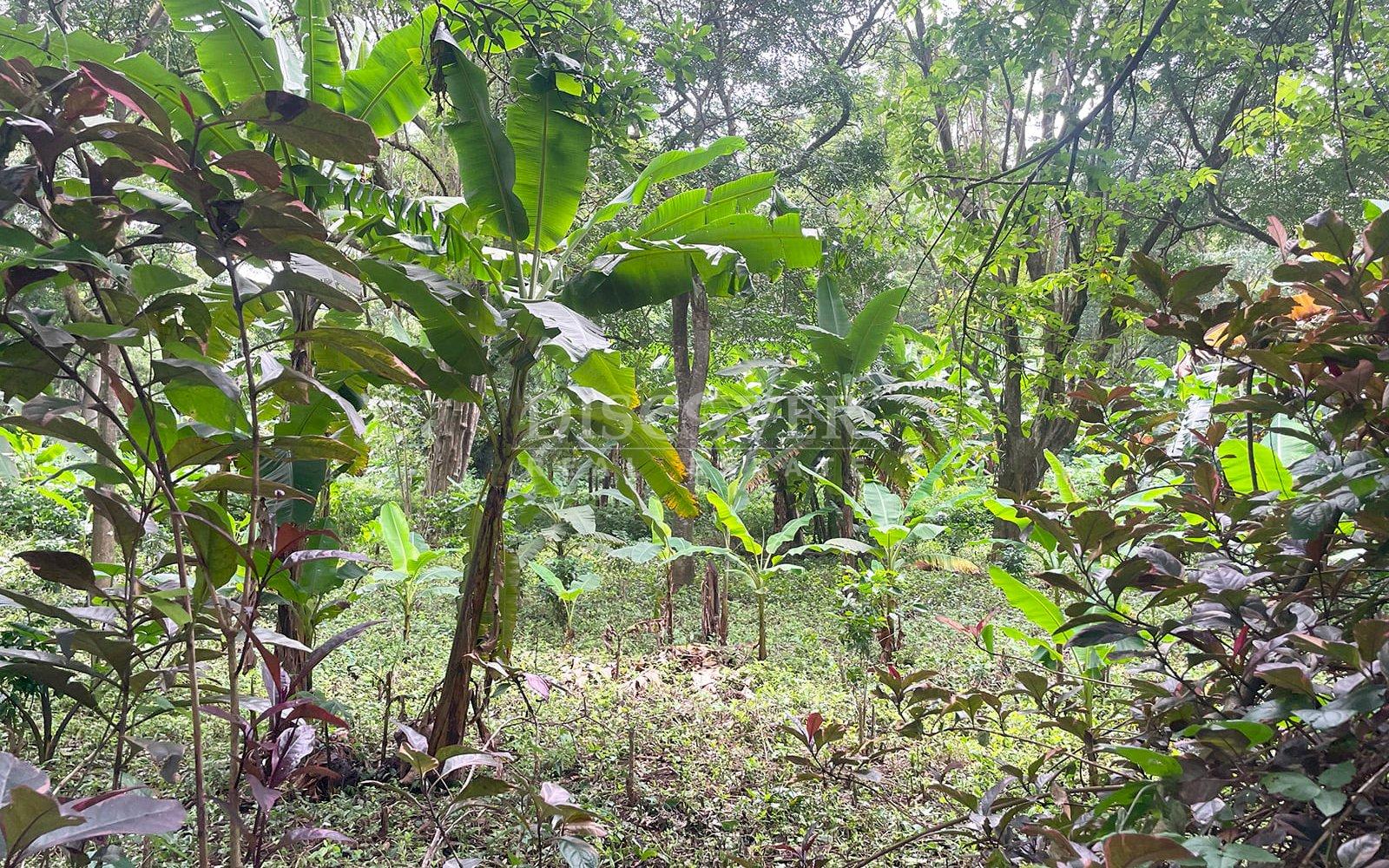 https://images.discovernica.com/propiedad/1600/ID13839_3.jpg