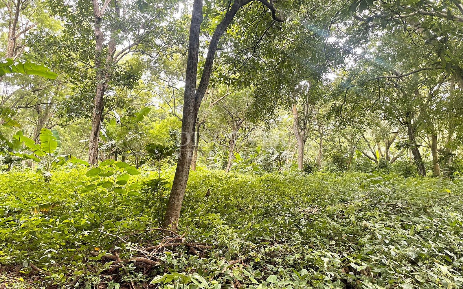 https://images.discovernica.com/propiedad/1600/ID13839_5.jpg