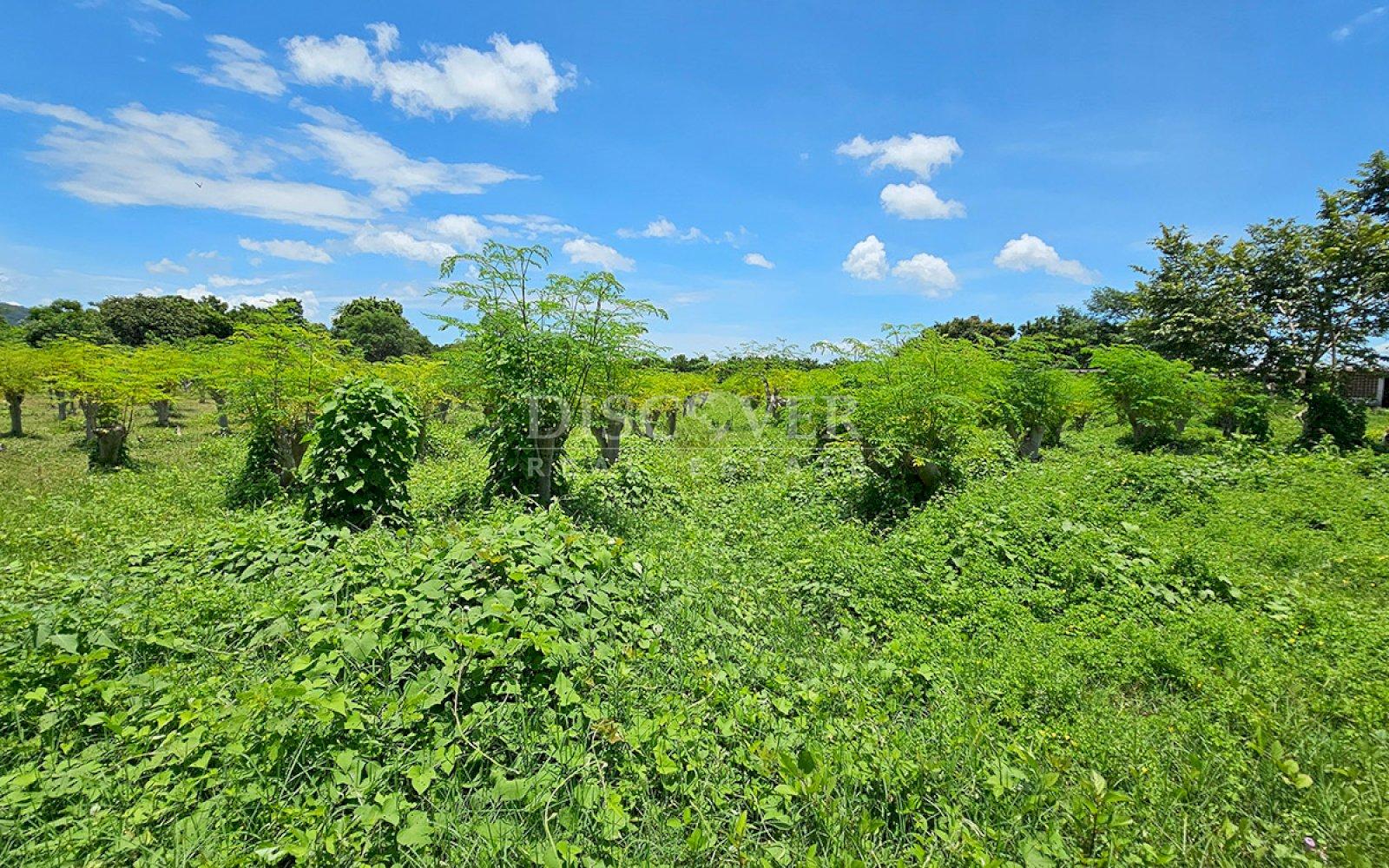 https://images.discovernica.com/propiedad/1600/ID13848.jpg