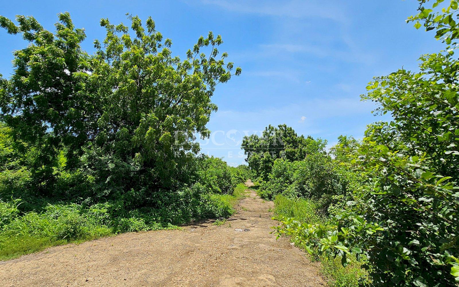 https://images.discovernica.com/propiedad/1600/ID13848_1.jpg