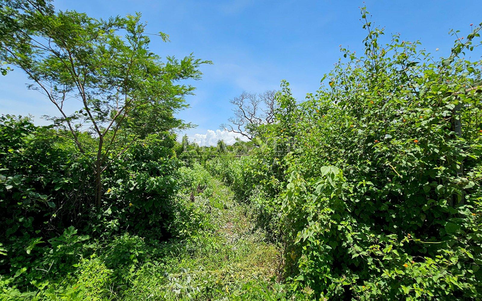 https://images.discovernica.com/propiedad/1600/ID13848_2.jpg