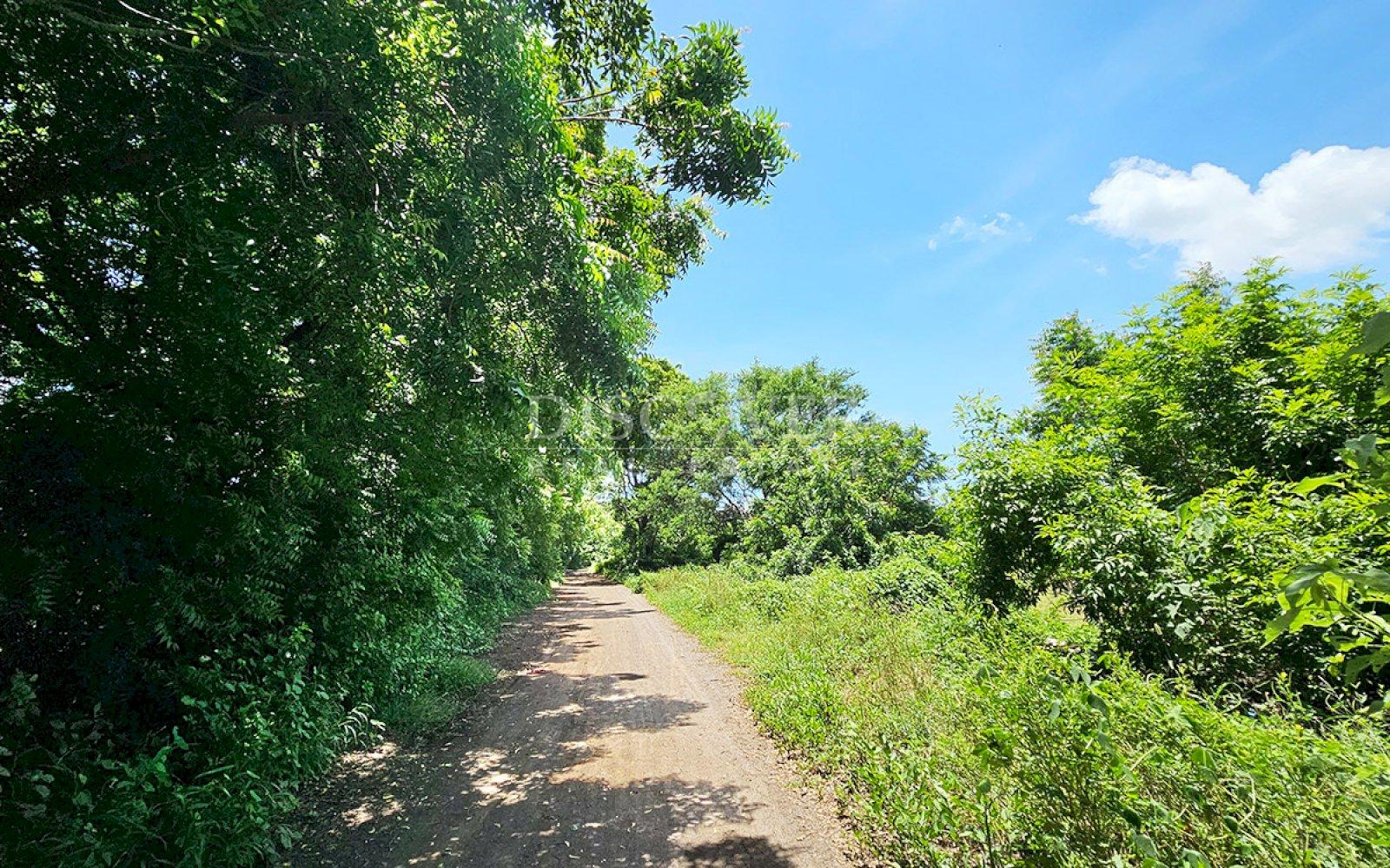 https://images.discovernica.com/propiedad/1600/ID13848_4.jpg