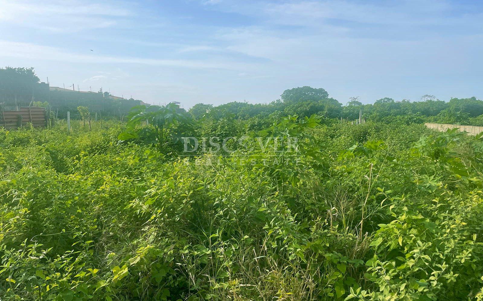 https://images.discovernica.com/propiedad/1600/ID13850.jpg