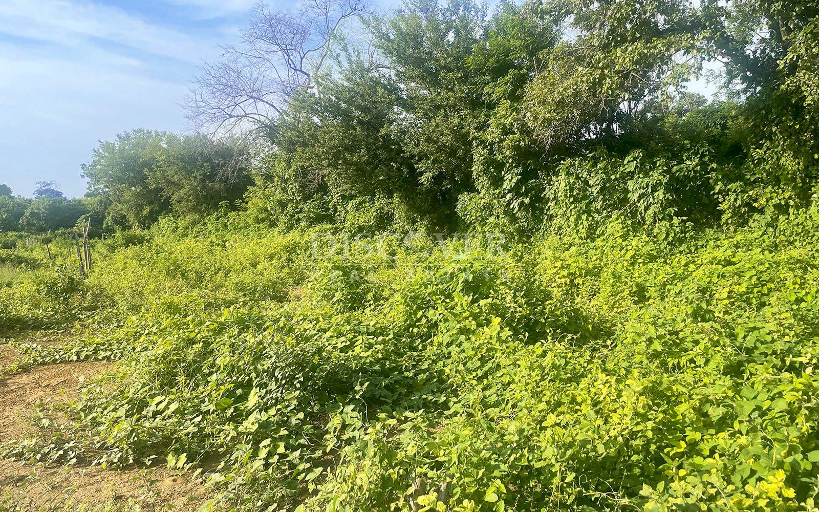 https://images.discovernica.com/propiedad/1600/ID13850_2_1.jpg