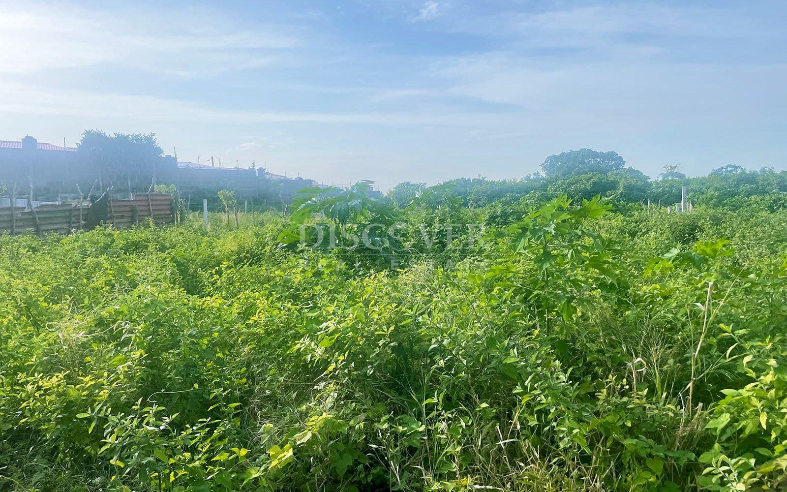 https://images.discovernica.com/propiedad/1600/ID13850_5.jpg