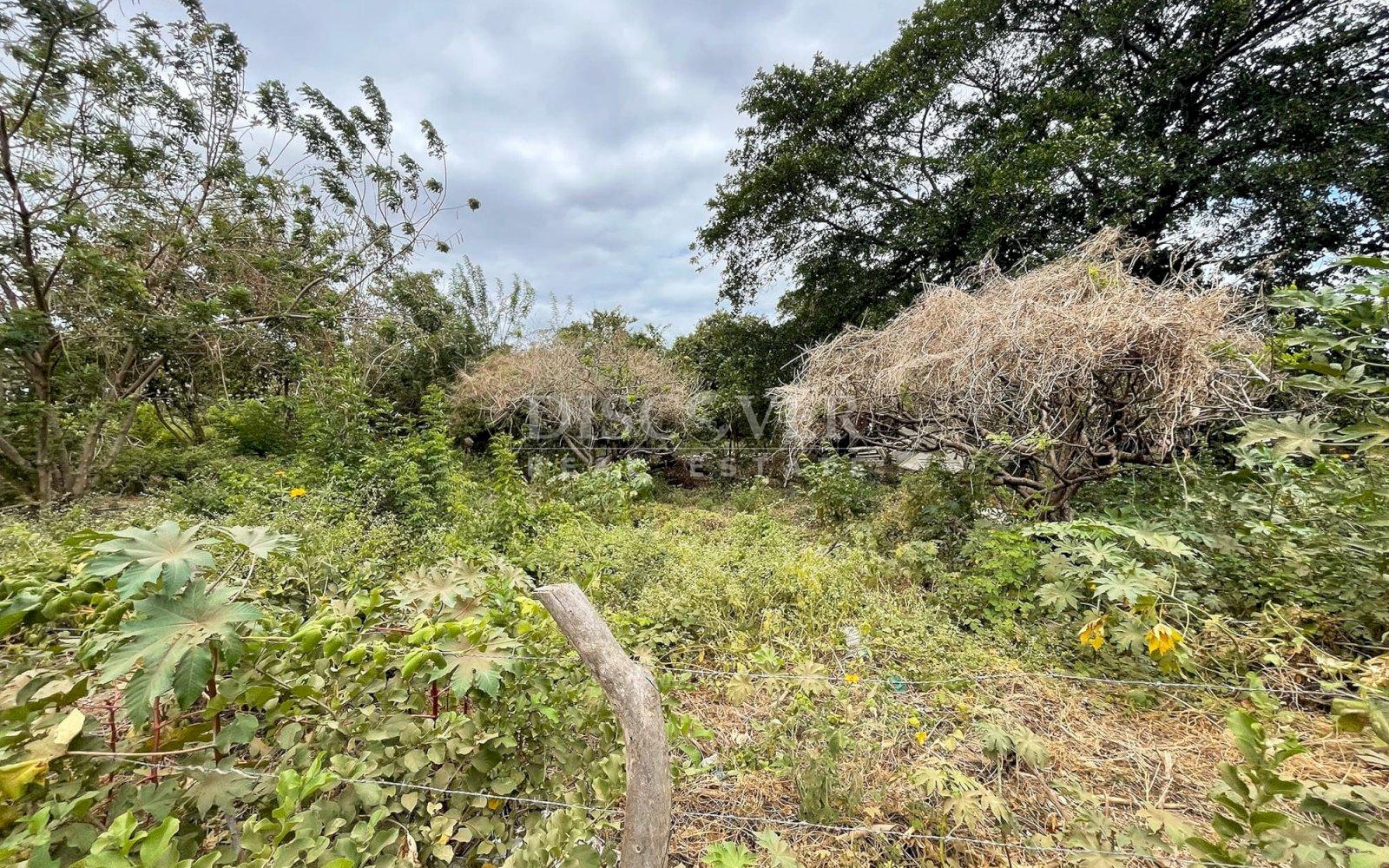 https://images.discovernica.com/propiedad/1600/ID13850_6_1.jpg