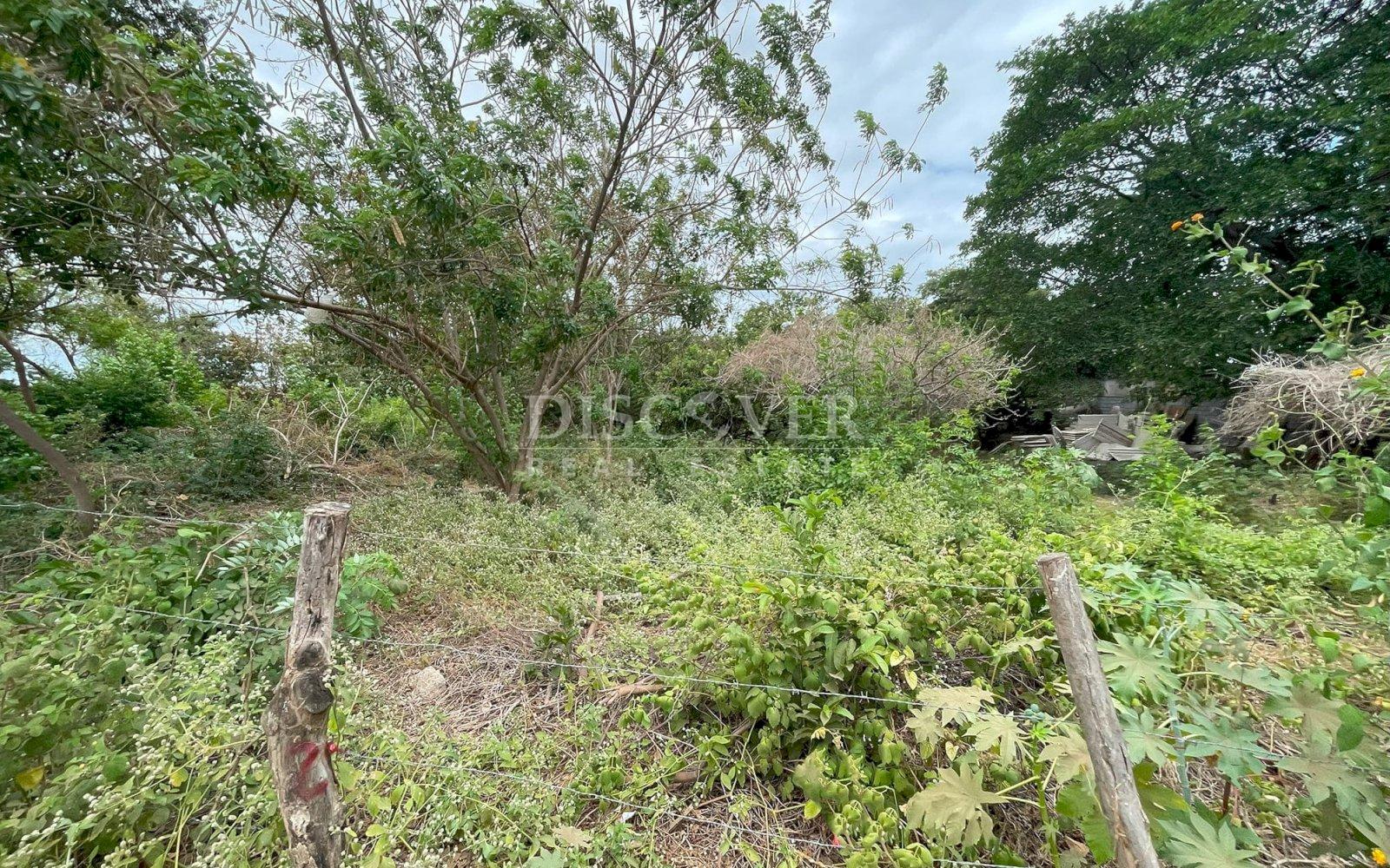 https://images.discovernica.com/propiedad/1600/ID13850_8.jpg