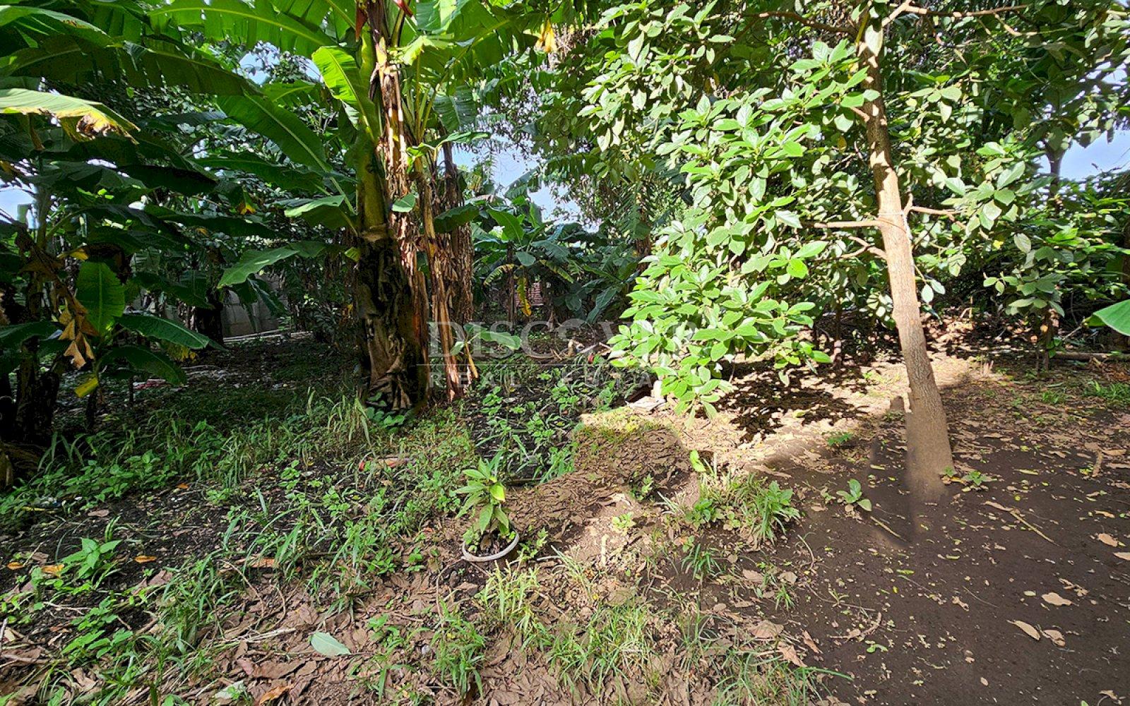  Lot for sale in Carretera a Masaya 