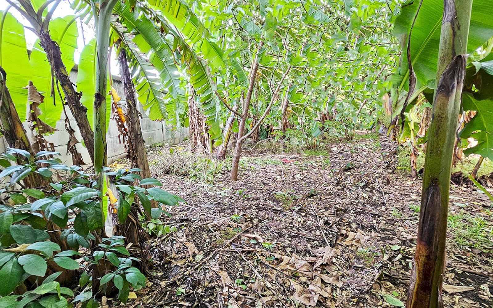  Lot for sale in Carretera a Masaya 