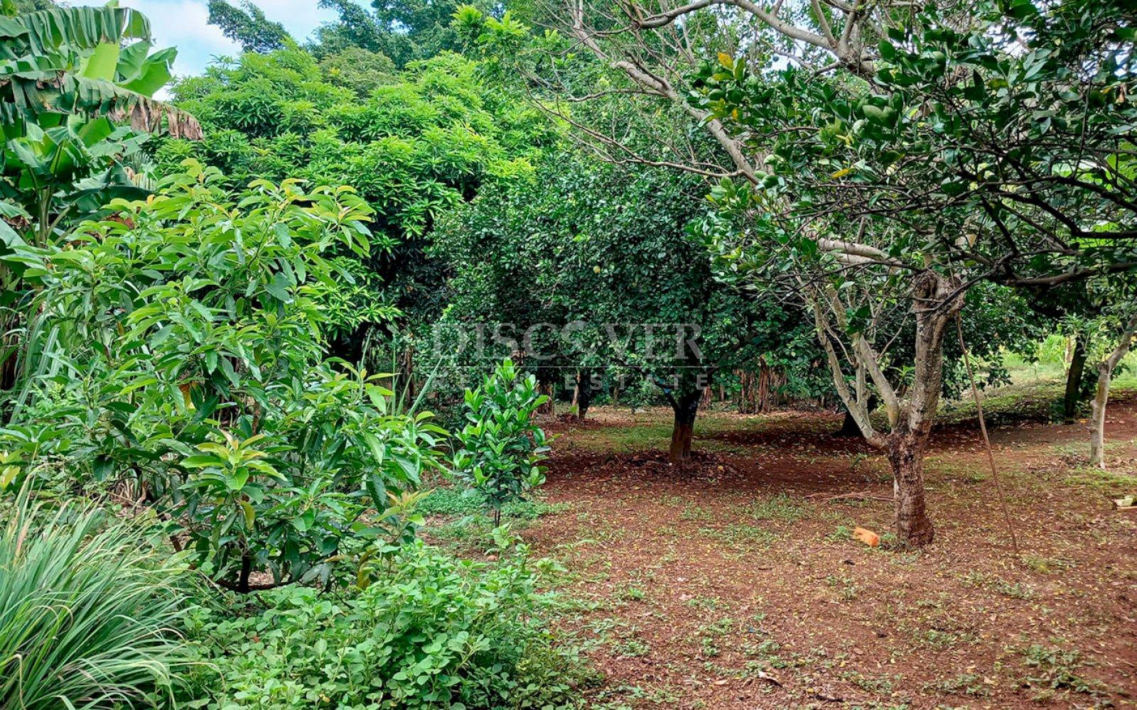  Land for sale in Carretera a Masaya 