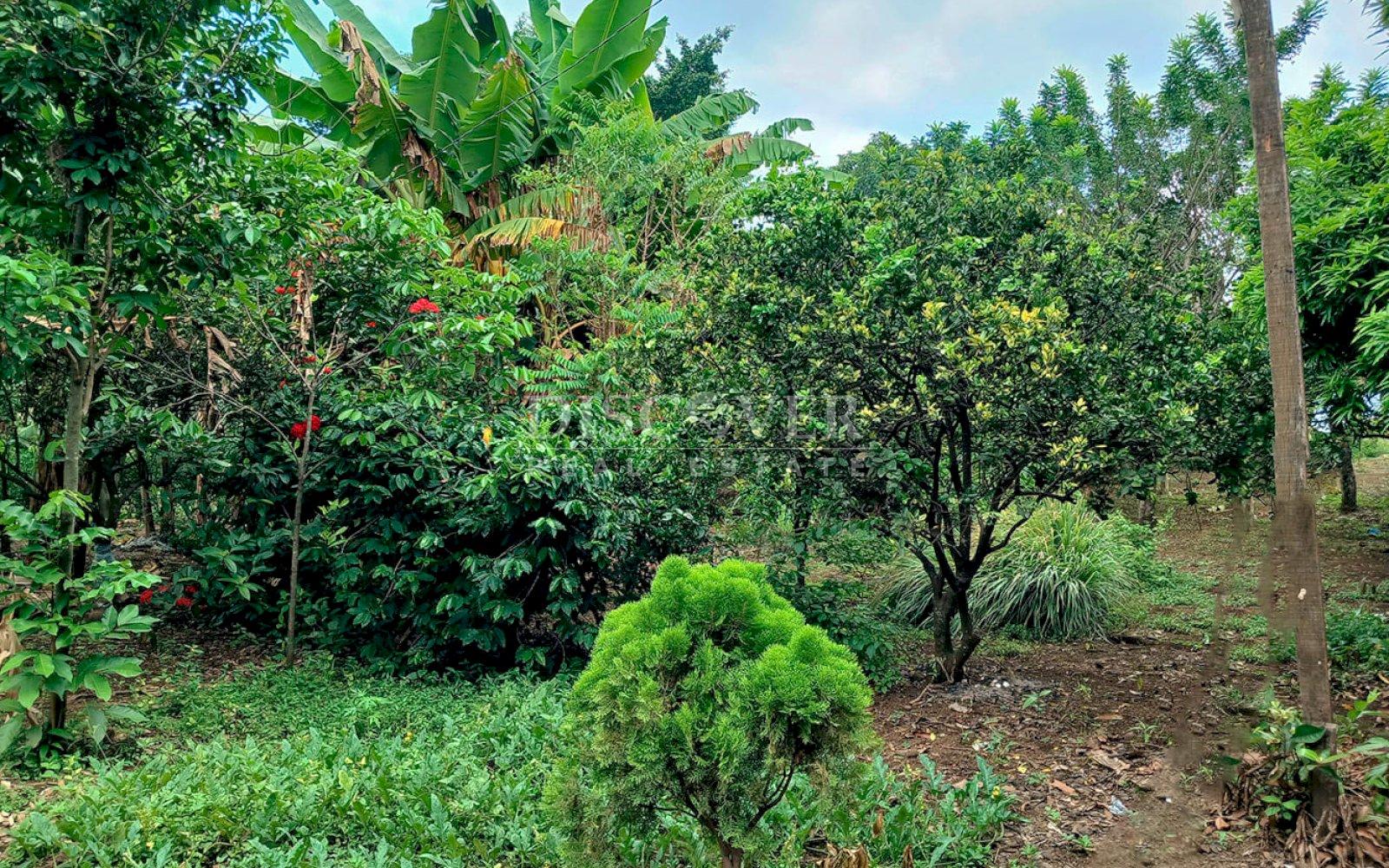  Land for sale in Carretera a Masaya 