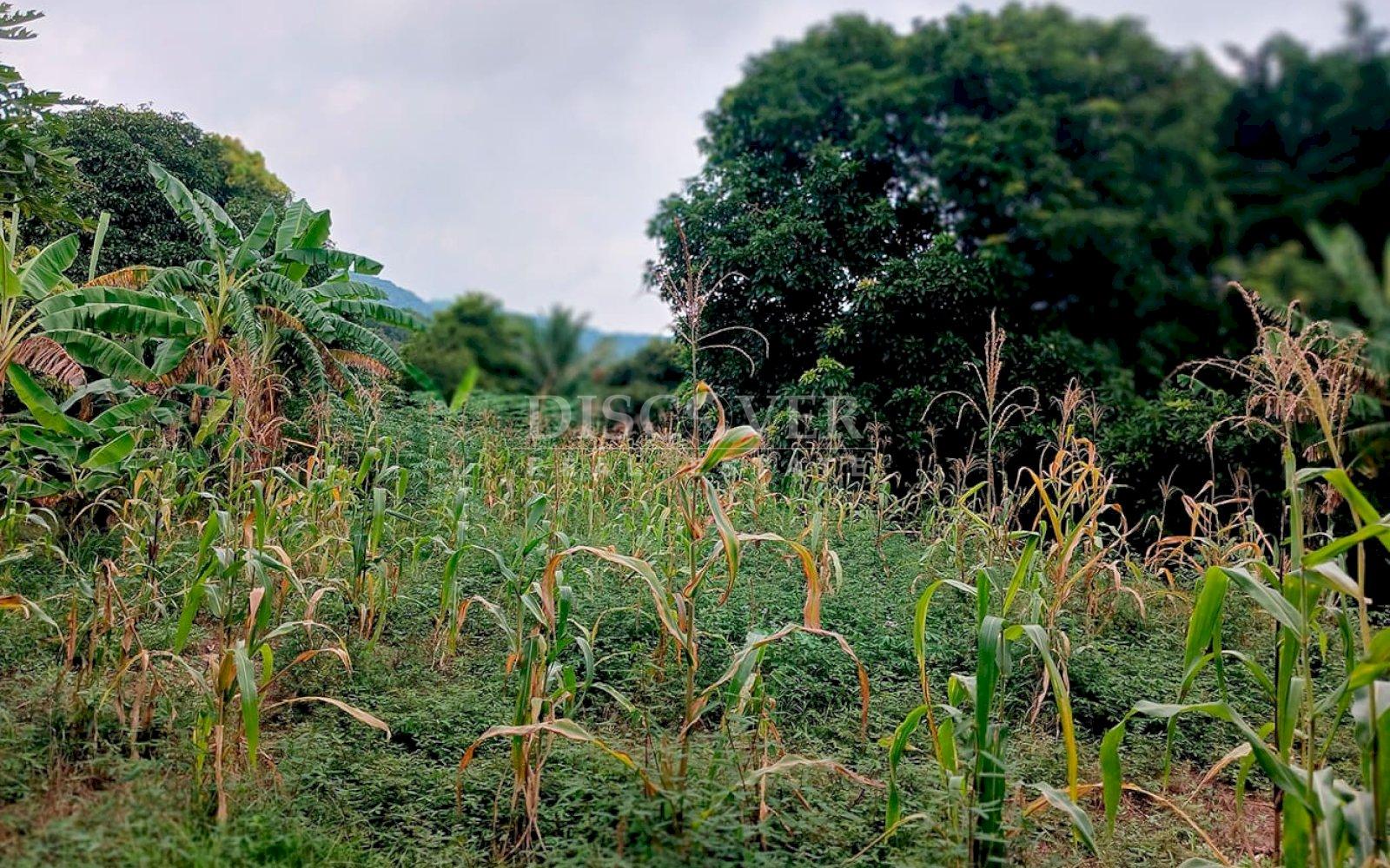  Land for sale in Carretera a Masaya 