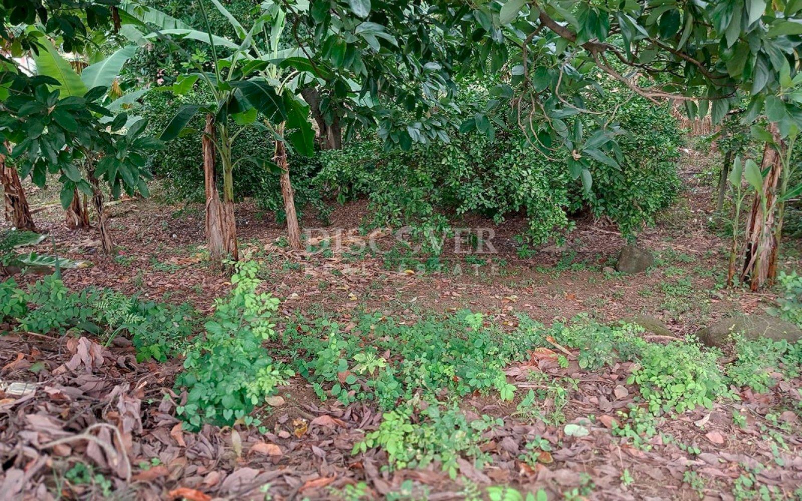  Land for sale in Carretera a Masaya 