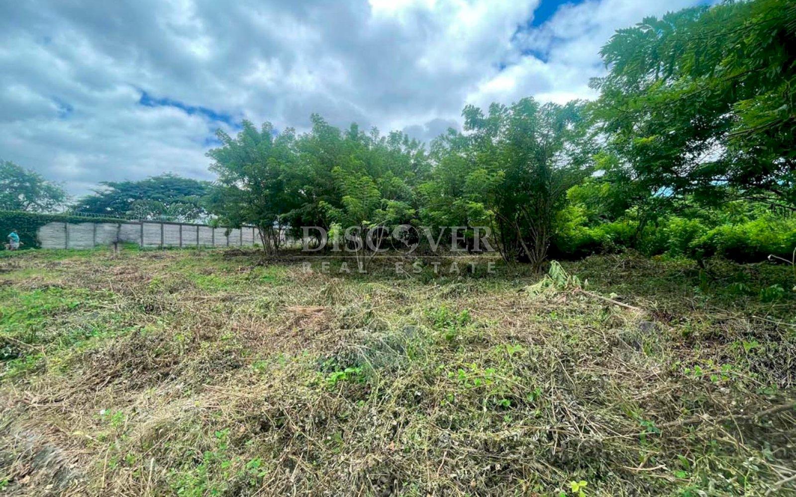 https://images.discovernica.com/propiedad/1600/ID13882_6_.jpg