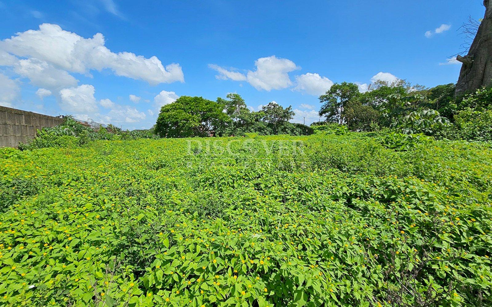 https://images.discovernica.com/propiedad/1600/ID13884.jpg