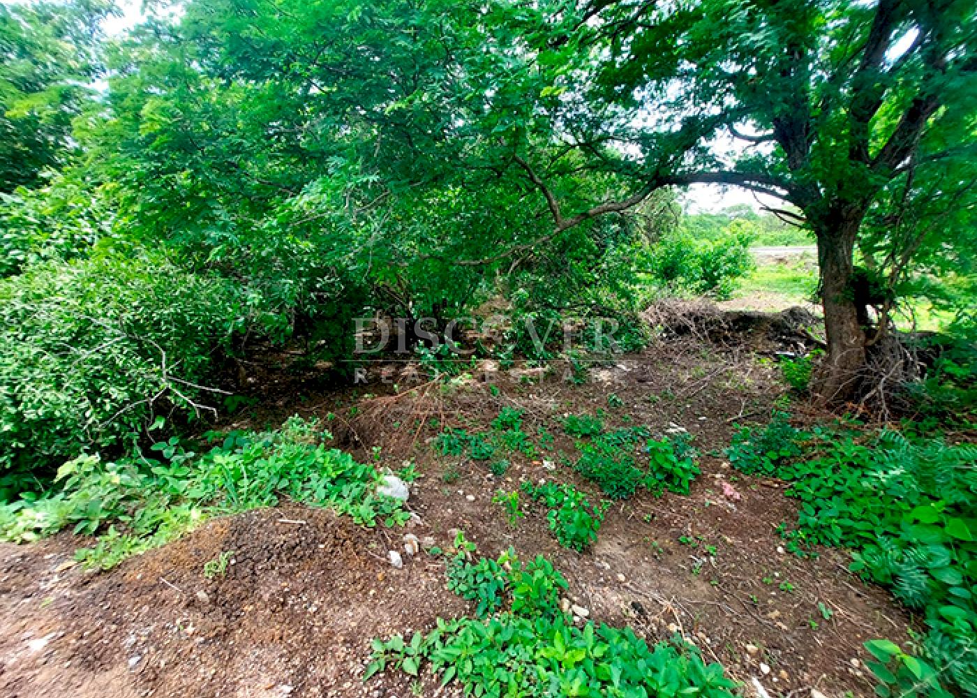 https://images.discovernica.com/propiedad/1600/ID13886.png