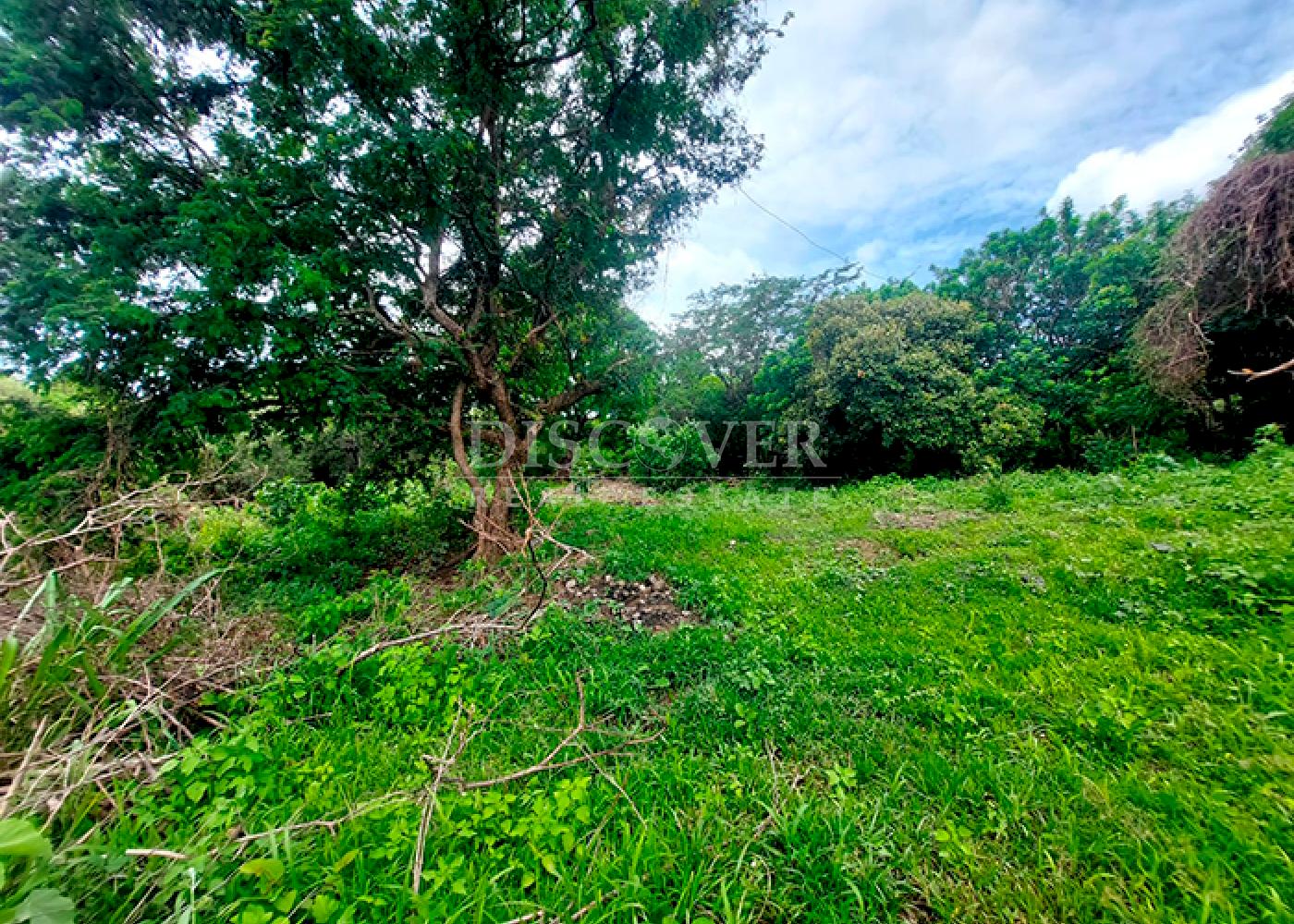 https://images.discovernica.com/propiedad/1600/ID13886_3.png