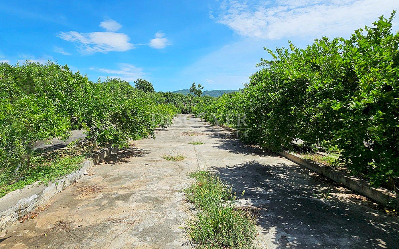 https://images.discovernica.com/propiedad/1600/ID13887.jpg