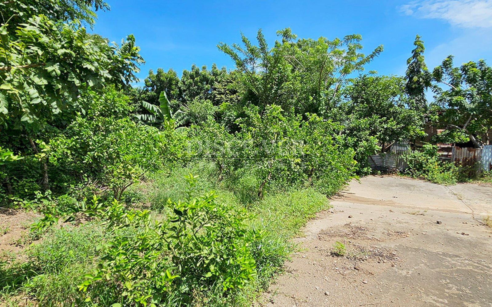 https://images.discovernica.com/propiedad/1600/ID13887_1_1.jpg