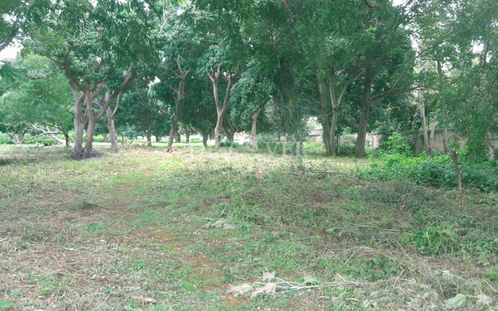 https://images.discovernica.com/propiedad/1600/ID13888_4_1__4.jpg