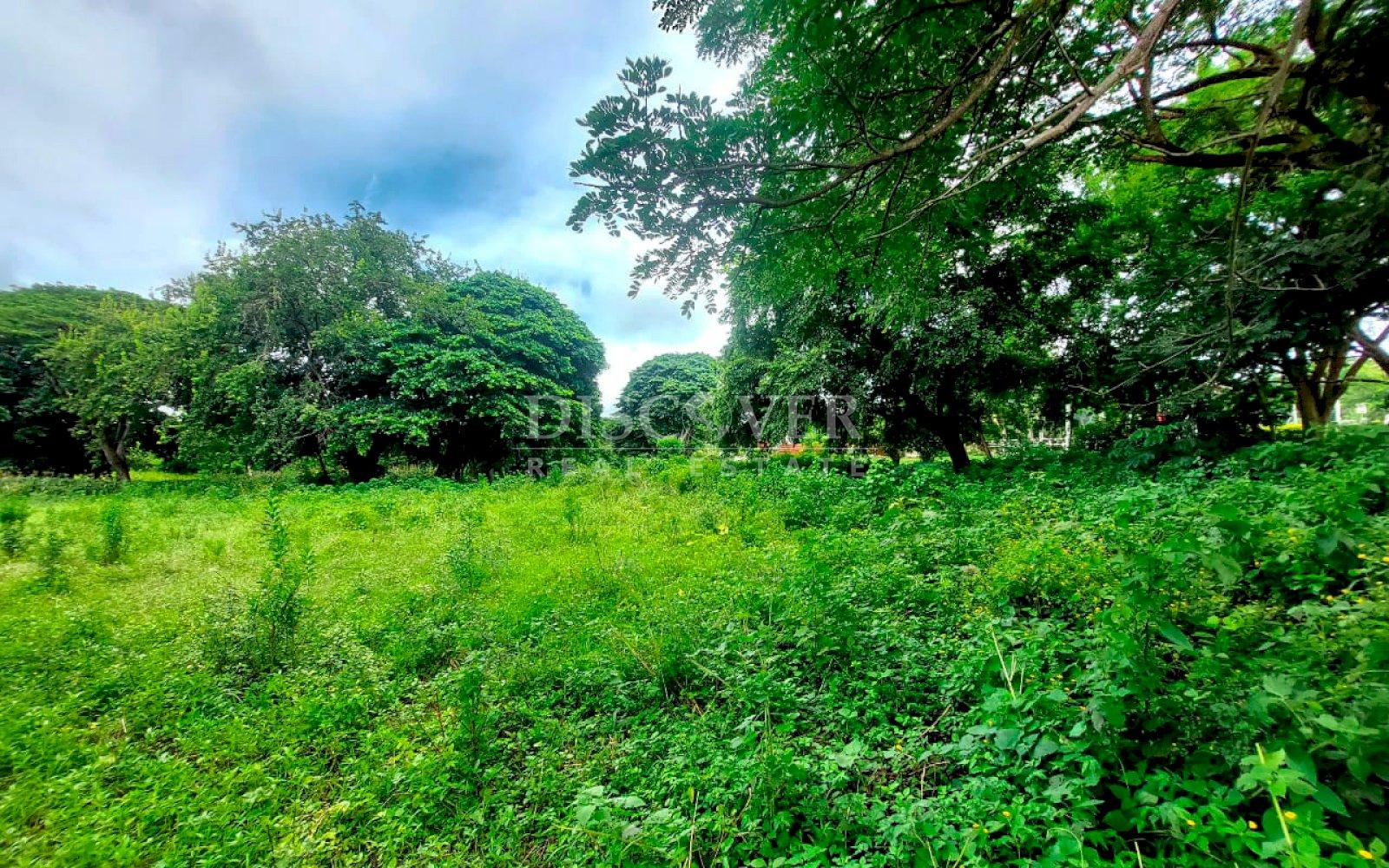 https://images.discovernica.com/propiedad/1600/ID13898.jpg