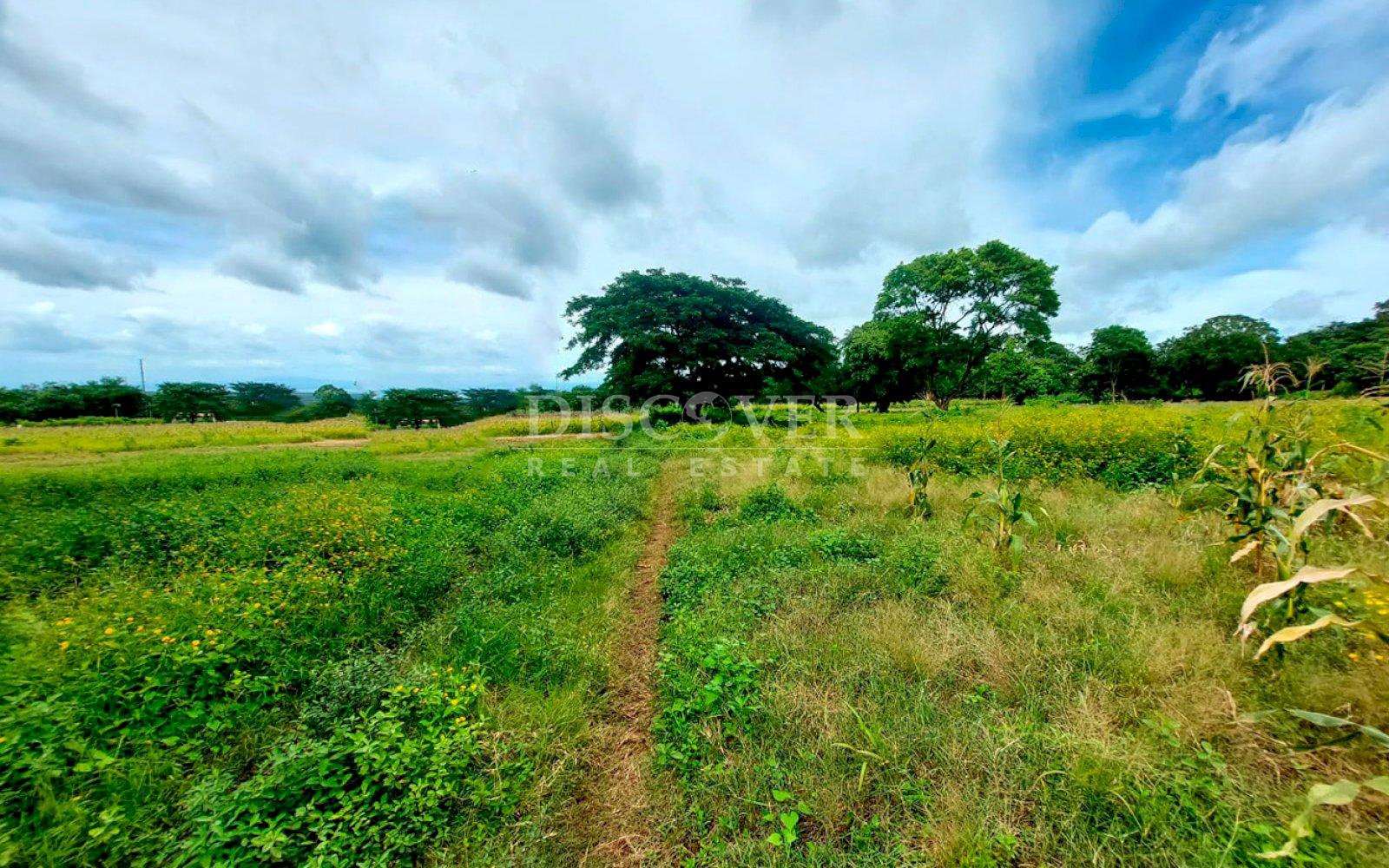 https://images.discovernica.com/propiedad/1600/ID13898_4.jpg