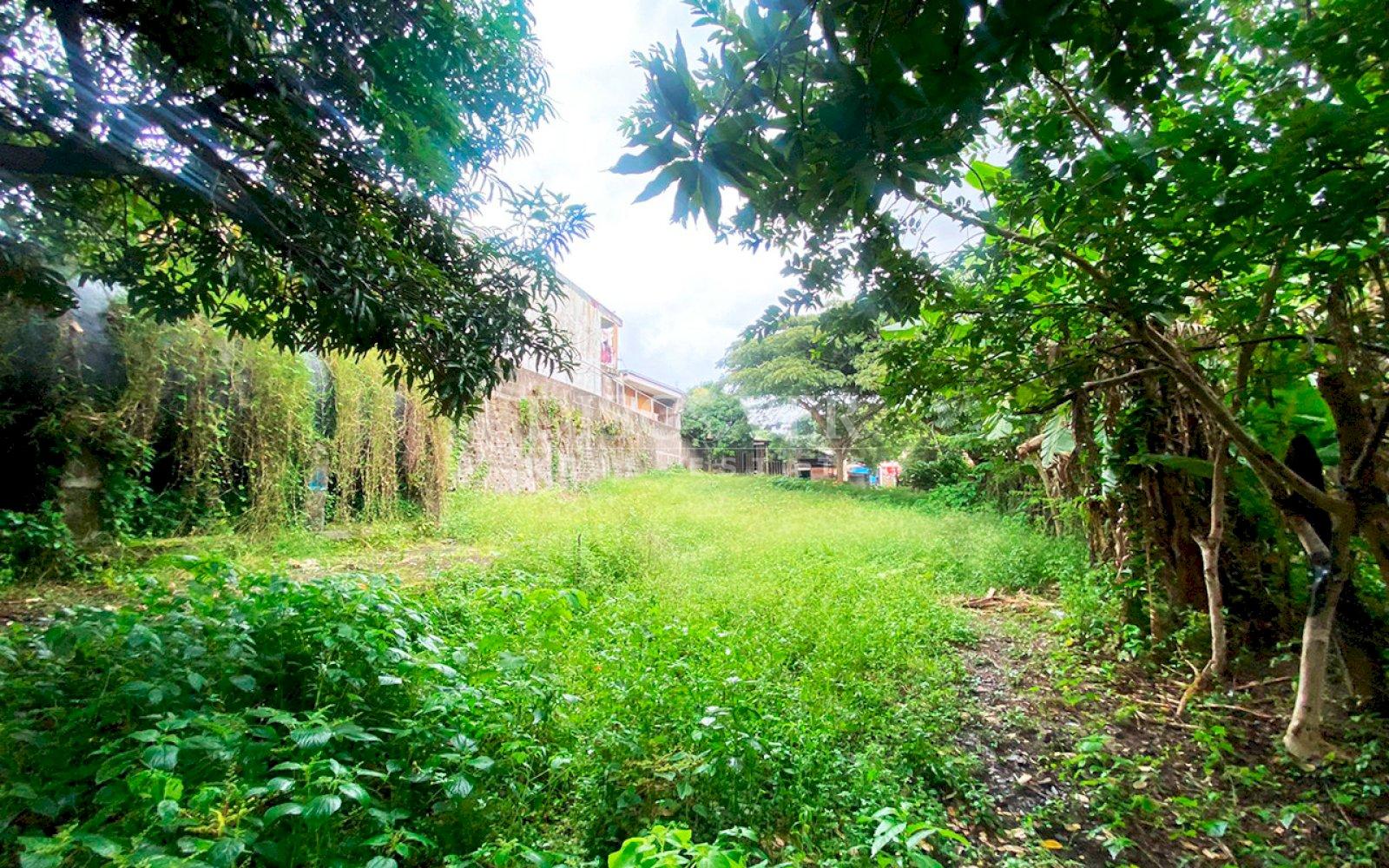  Land for sale in front of the highway in Matagalpa