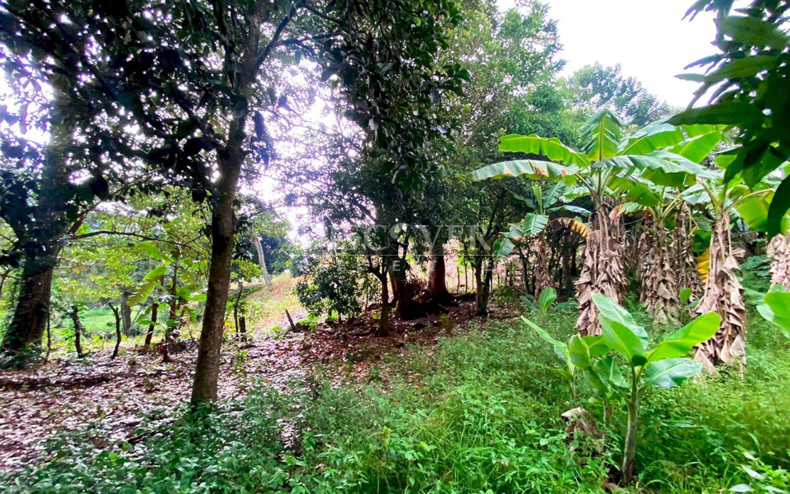  Land for sale in front of the highway in Matagalpa