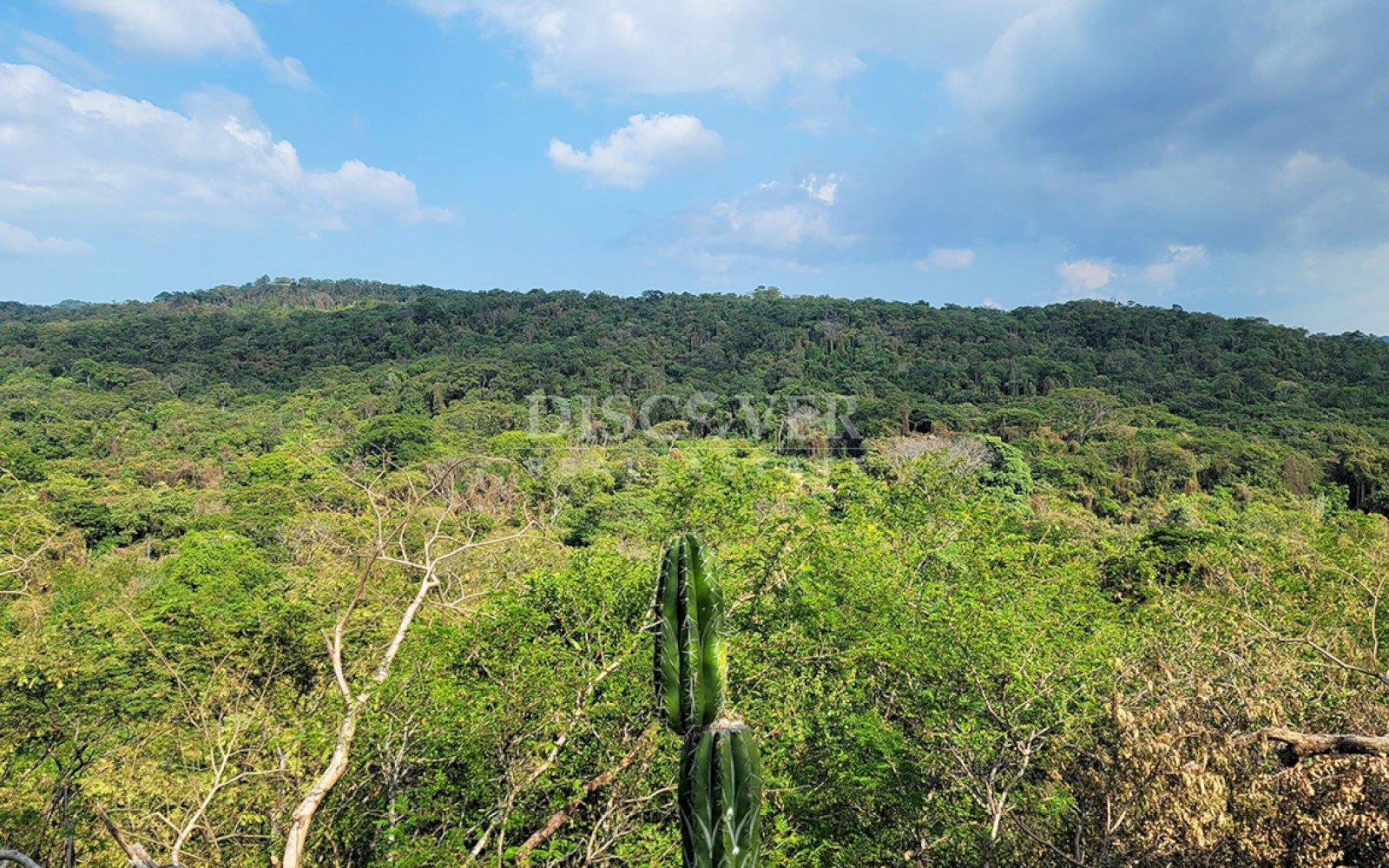 Beach land for sale - Lomas de Punta de Piedra 