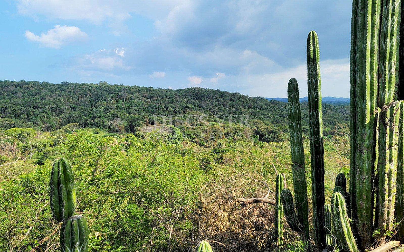 Beach land for sale - Lomas de Punta de Piedra 