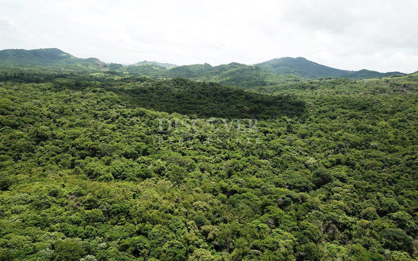 Beach land for sale - Lomas de Punta de Piedra 