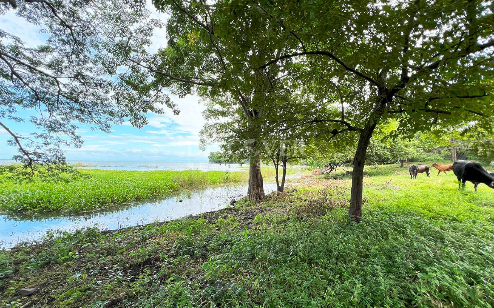 https://images.discovernica.com/propiedad/1600/ID13953_12_.jpg