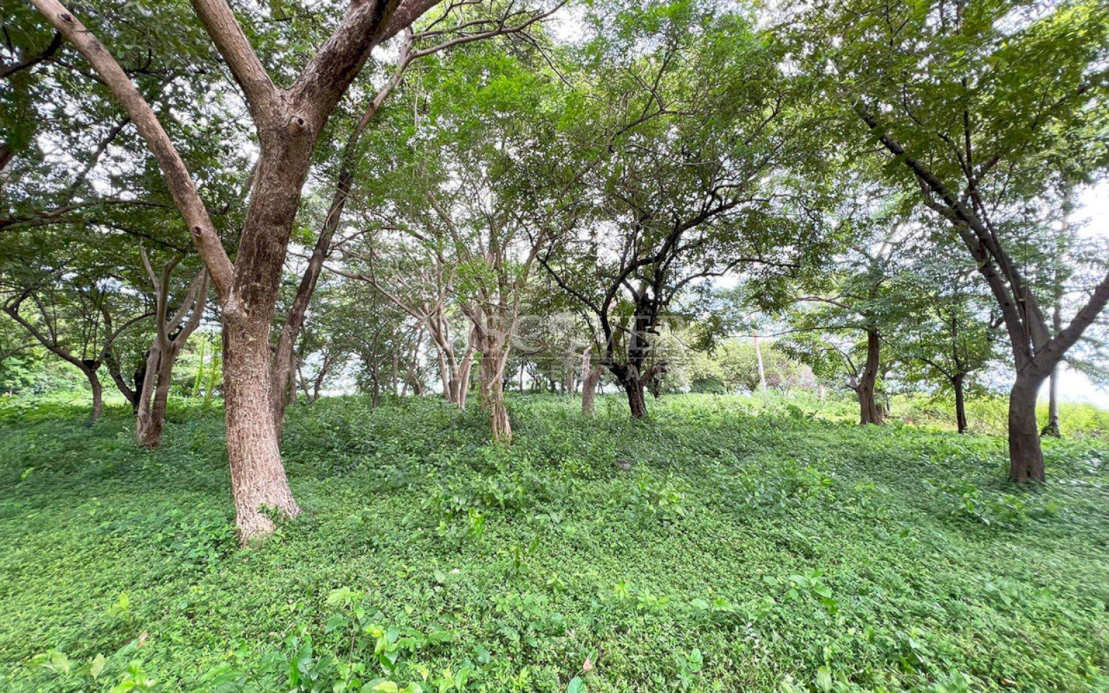 https://images.discovernica.com/propiedad/1600/ID13953_9_.jpg